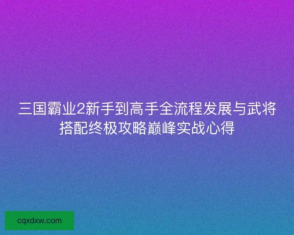 三国霸业2新手到高手全流程发展与武将搭配终极攻略巅峰实战心得