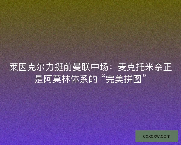 莱因克尔力挺前曼联中场：麦克托米奈正是阿莫林体系的 “完美拼图”